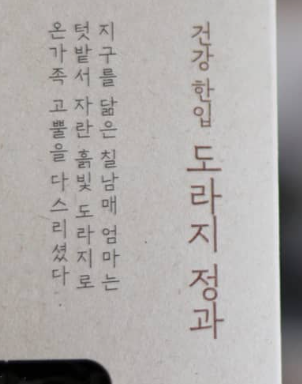 폰트박사님들! 도와주세요